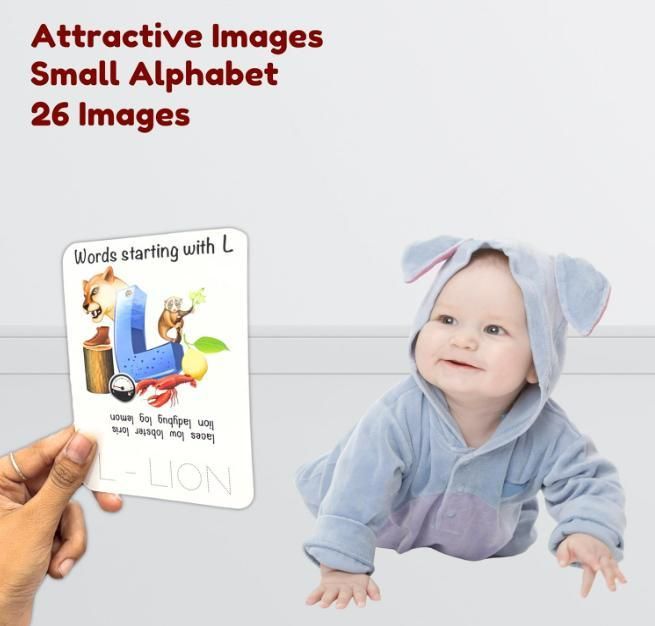 Todfod Re-Writable Smart Knowledge Flash Cards